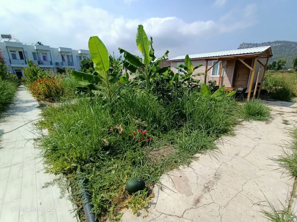 Basic Bungalov, 1 Yatak Odası, Bahçe Manzaralı, Bahçeli