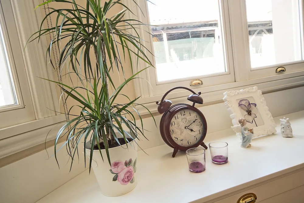 Exclusive Çatı Katı Süiti (Penthouse), 1 Yatak Odası