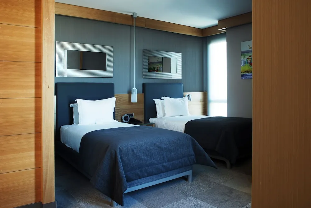 Deluxe İki Ayrı Yataklı Oda, Şehir Manzaralı
