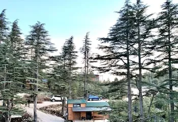 Cedrus Life Bungalow Tesisleri