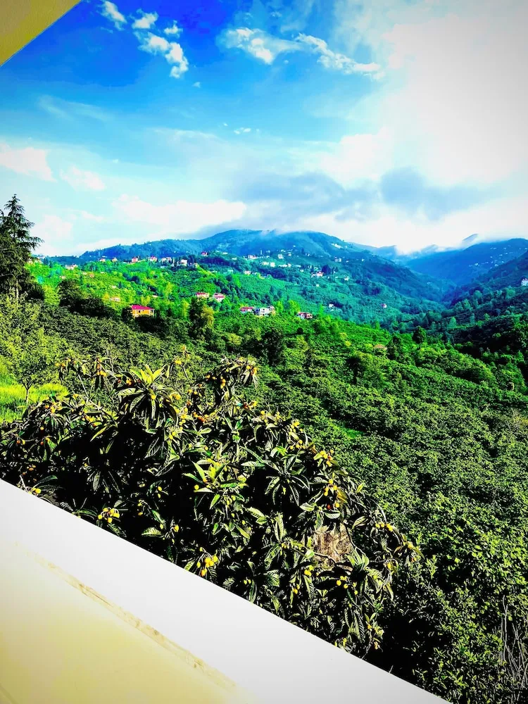 Grand Apart Daire, Dağ Manzaralı