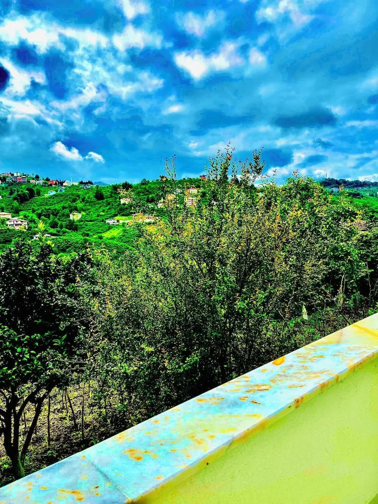 Royal Apart Daire, Park Manzaralı