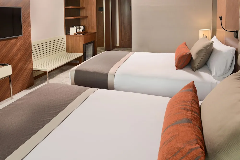 Deluxe Tek Büyük veya İki Ayrı Yataklı Oda