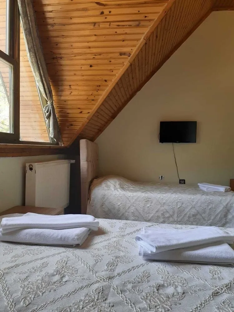 Standart Orman Manzarali Oda