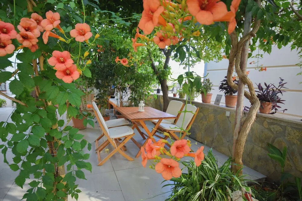 Classic Apartment, 1 Bedroom, Garden Area