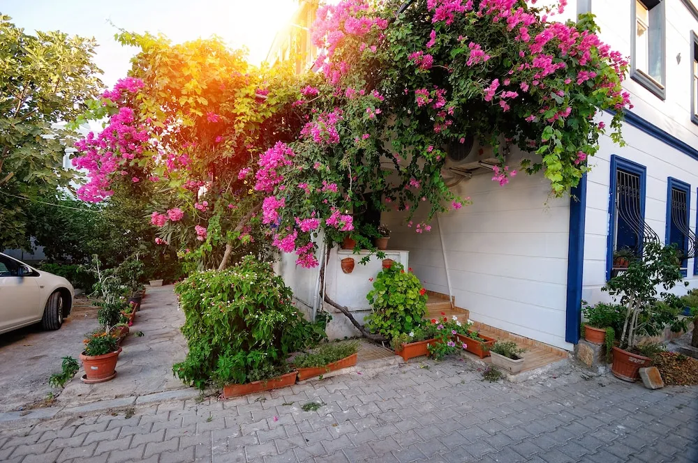 Standard Apartment, 1 Bedroom, Garden Area