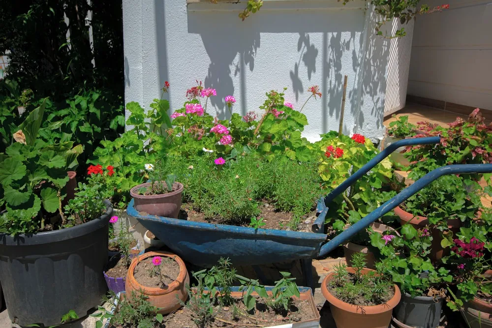 Standard Apartment, 1 Bedroom, Garden Area