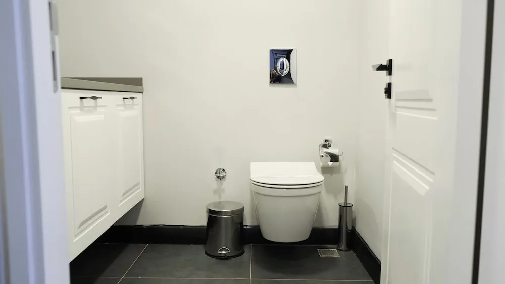 Deluxe Tek Büyük veya İki Ayrı Yataklı Oda, Şehir Manzaralı