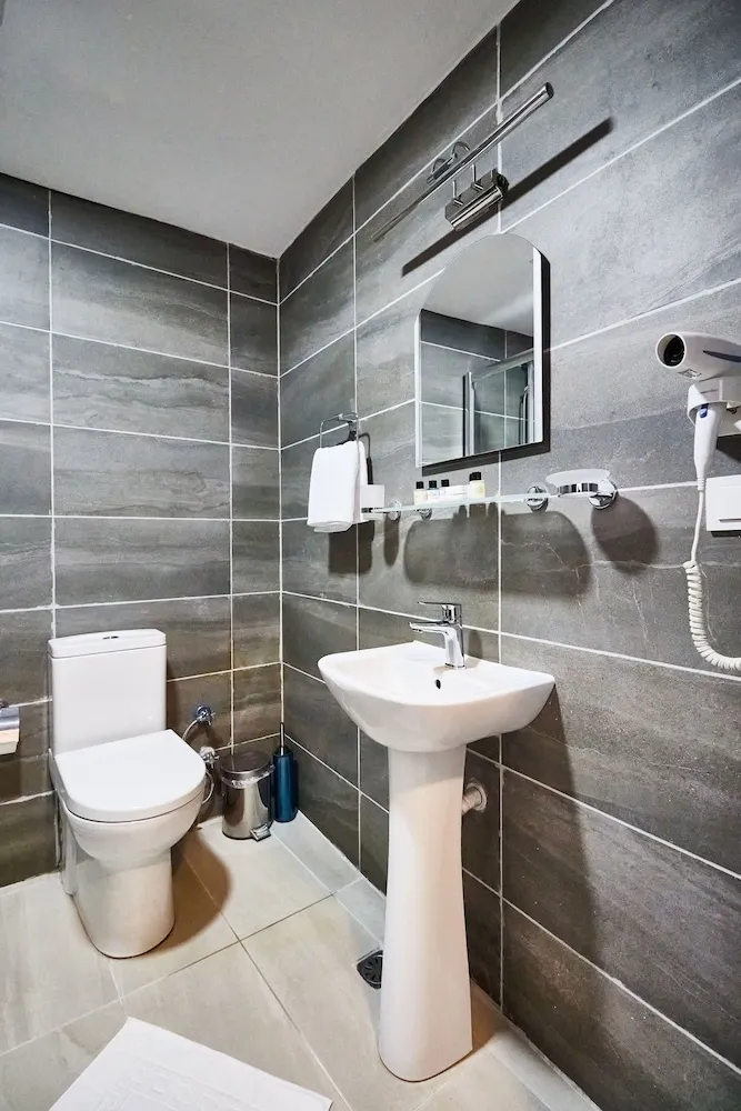 Standard Tek Büyük veya İki Ayrı Yataklı Oda, 1 Çift Kişilik Yatak