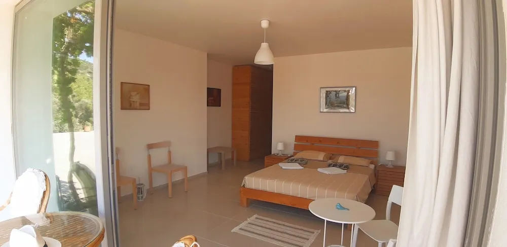 Panoramic Tek Büyük Yataklı Oda, Deniz Manzaralı (3)