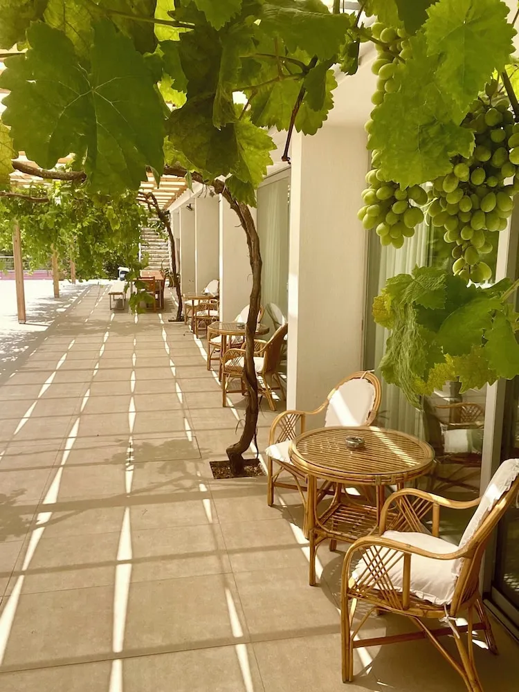 Panoramic Tek Büyük Yataklı Oda, Deniz Manzaralı (3)