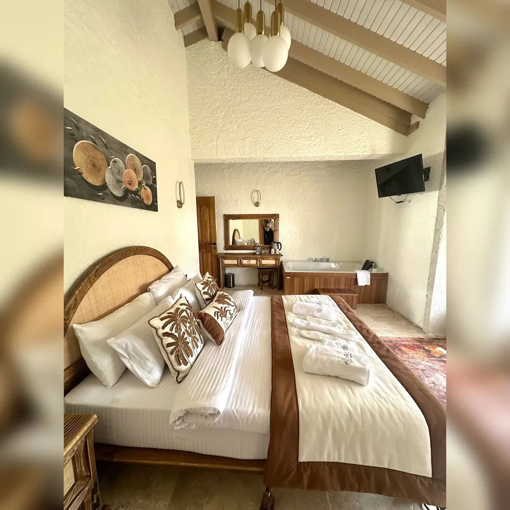 Premium Oda, Birden Çok Yatak, Sıcak Su Küveti, Şehir Manzaralı