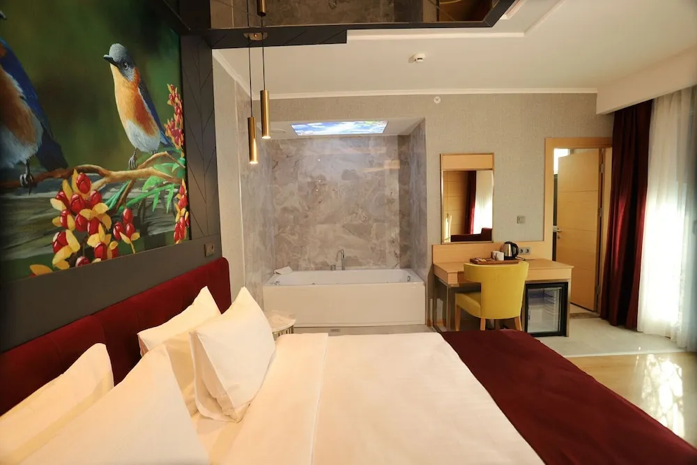Deluxe Tek Büyük Yataklı Oda