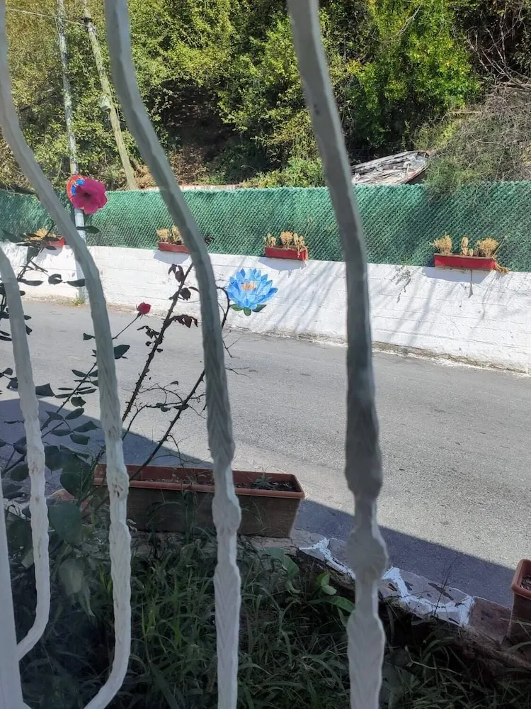 City Tek Büyük Yataklı Oda