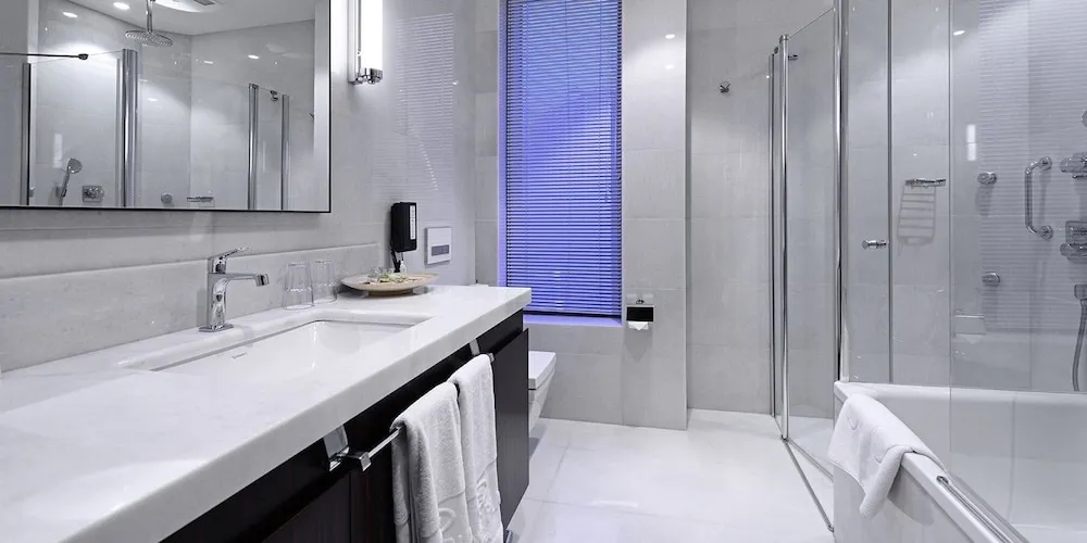 Süit, 1 Yatak Odası, Sigara İçilebilir, Şehir Manzaralı