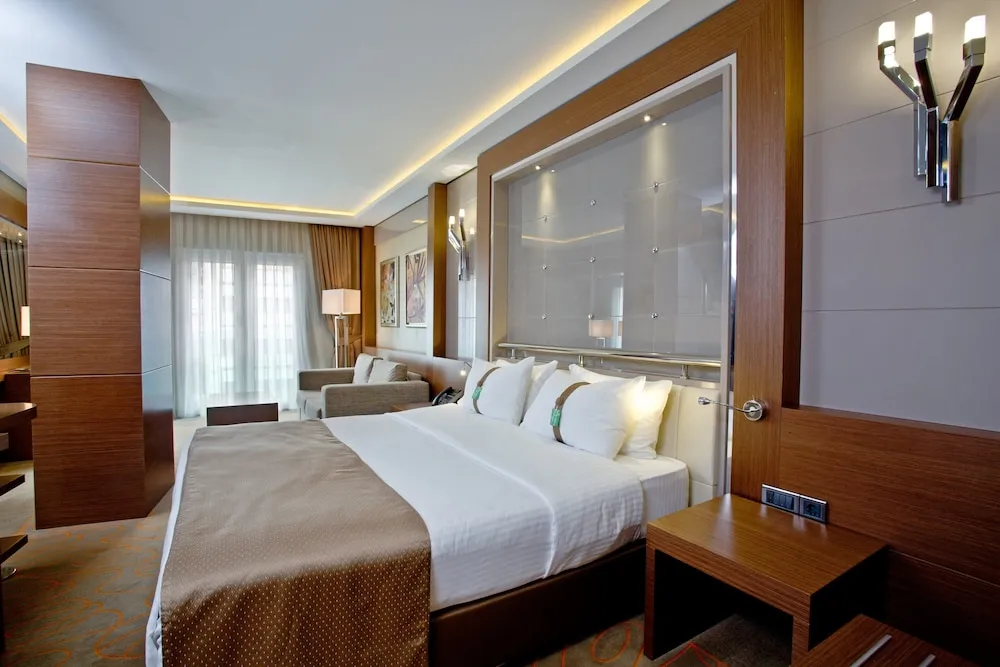 Premium Oda, 1 En Büyük (King) Boy Yatak, Sigara İçilebilir