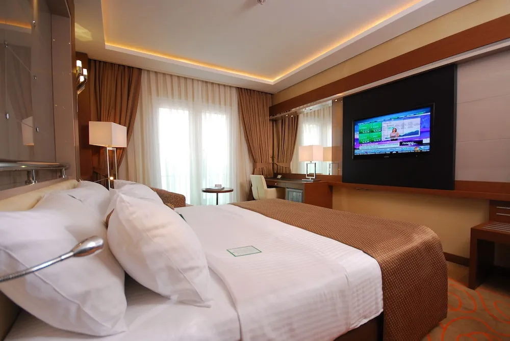 Premium Oda, 1 En Büyük (King) Boy Yatak, Sigara İçilebilir