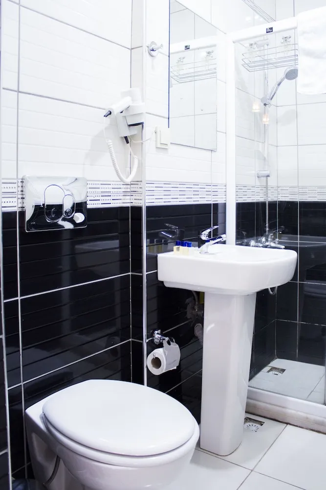 Deluxe Apart Daire, Mutfak (Double)