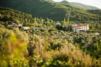 Natur-Med Hot Springs and Health Resort