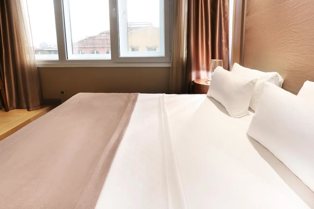 Çatı Katı Süiti (Penthouse)