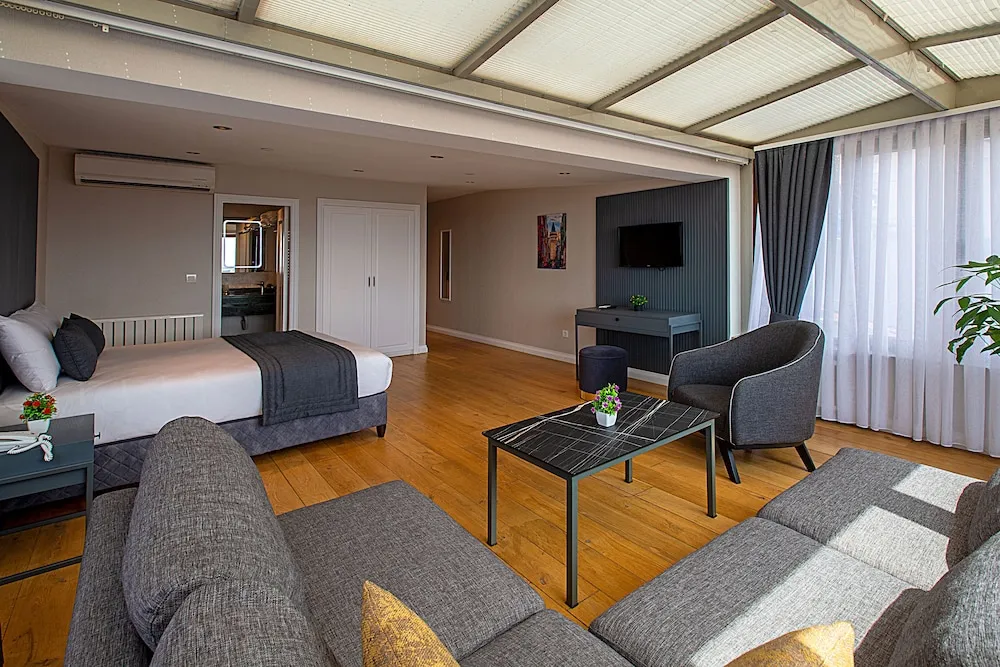 Deluxe Stüdyo, 1 Büyük (Queen) Boy Yatak ve Çekyat, Şehir Manzaralı
