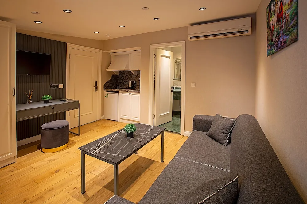 Deluxe Stüdyo, 1 Büyük (Queen) Boy Yatak ve Çekyat, Şehir Manzaralı