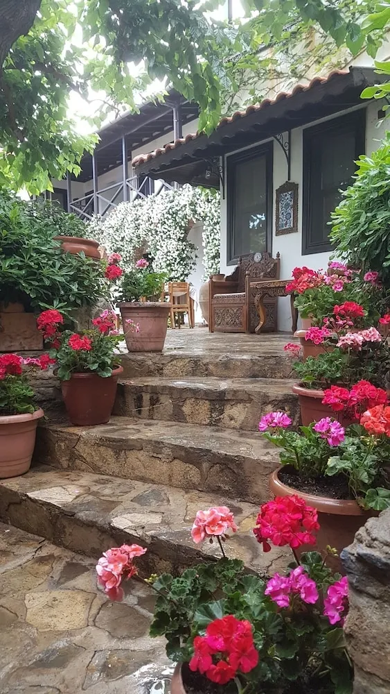Teras/veranda