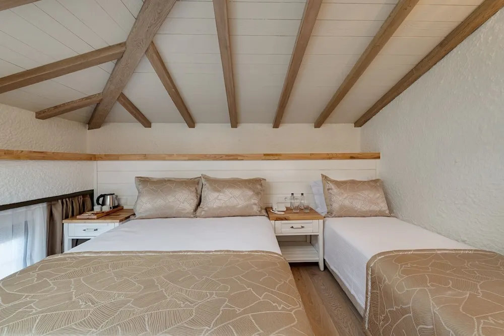 Deluxe Çatı Katı (Loft)