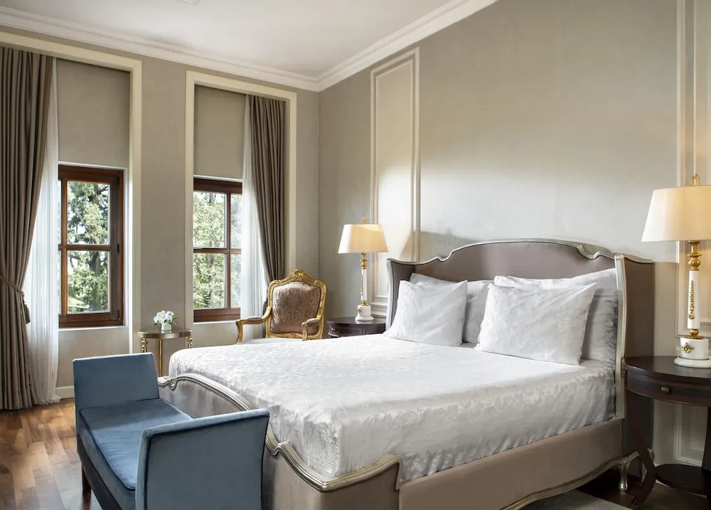 Deluxe King Room with Pera View