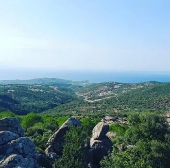 Dikili Papaya Evleri Tatil Köyü