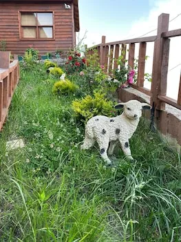 Antik House Bungalov