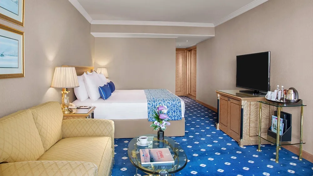 Classic Oda, 1 En Büyük (King) Boy Yatak, Şehir Manzaralı