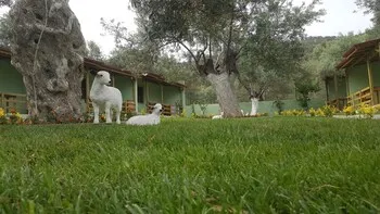 Balım Butik Otel