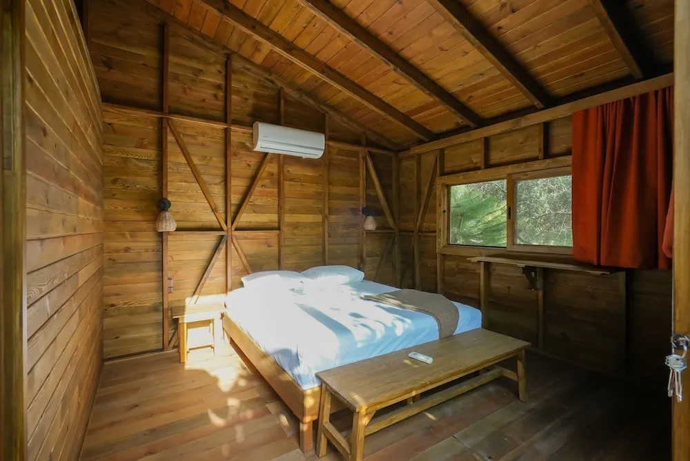 Design Ağaç Ev
