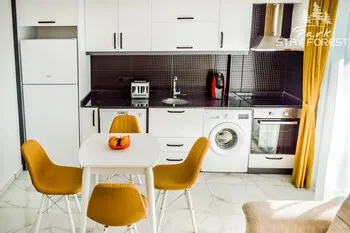 Forest Park Avşallar