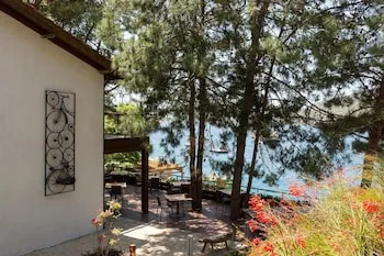 Miamai Butik Otel - Yetişkin Oteli