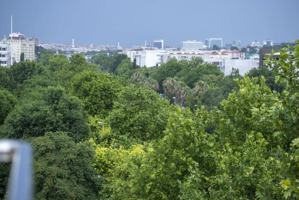 Tek Büyük Yataklı Oda, Teras