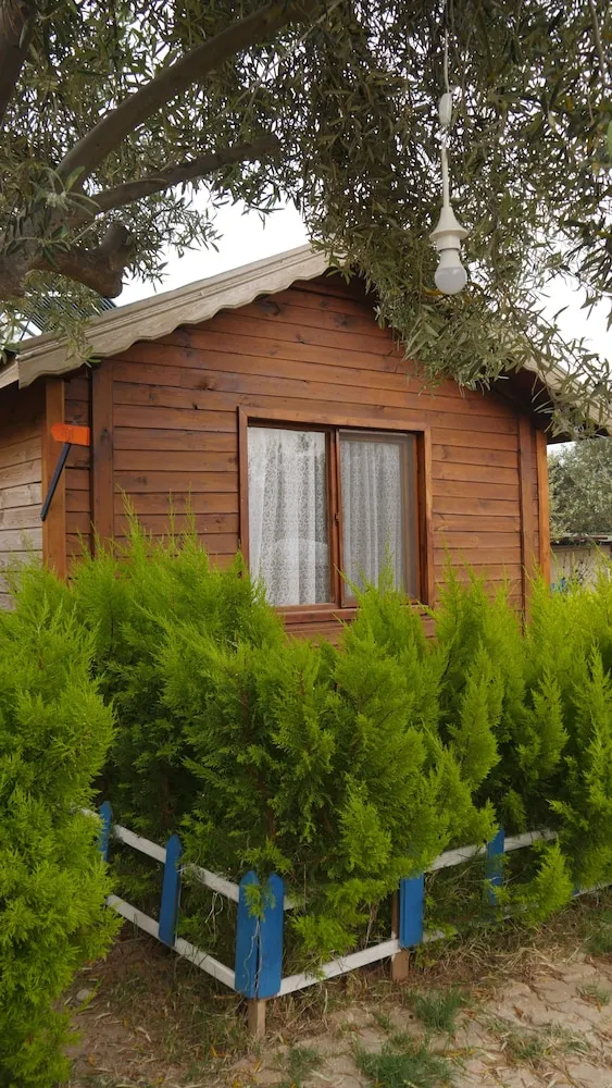 Ağaç Ev