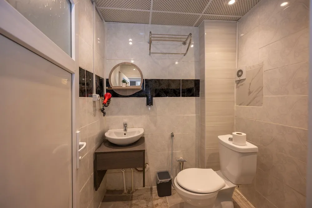 Business Apart Daire, 1 Büyük (Queen) Boy Yatak, Balkon