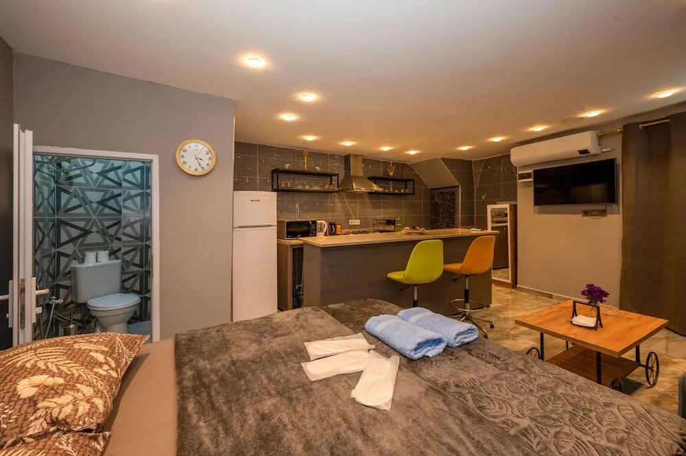 Business Apart Daire, 1 Büyük (Queen) Boy Yatak, Balkon