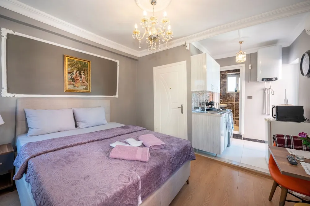 Business Apart Daire, 1 Büyük (Queen) Boy Yatak, Balkon