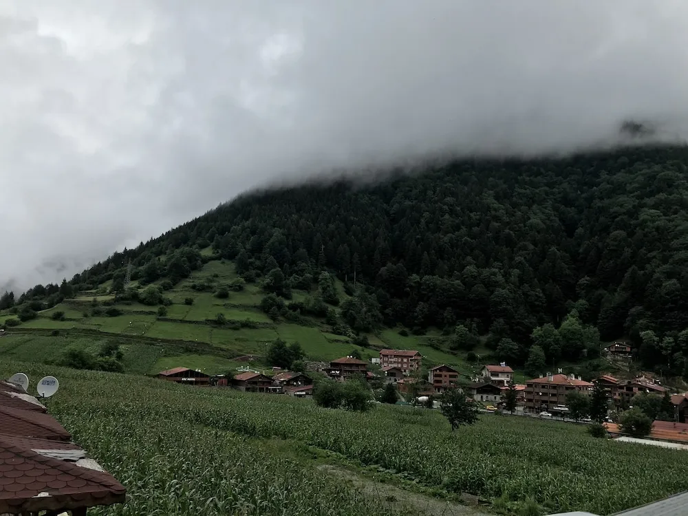 Stüdyo