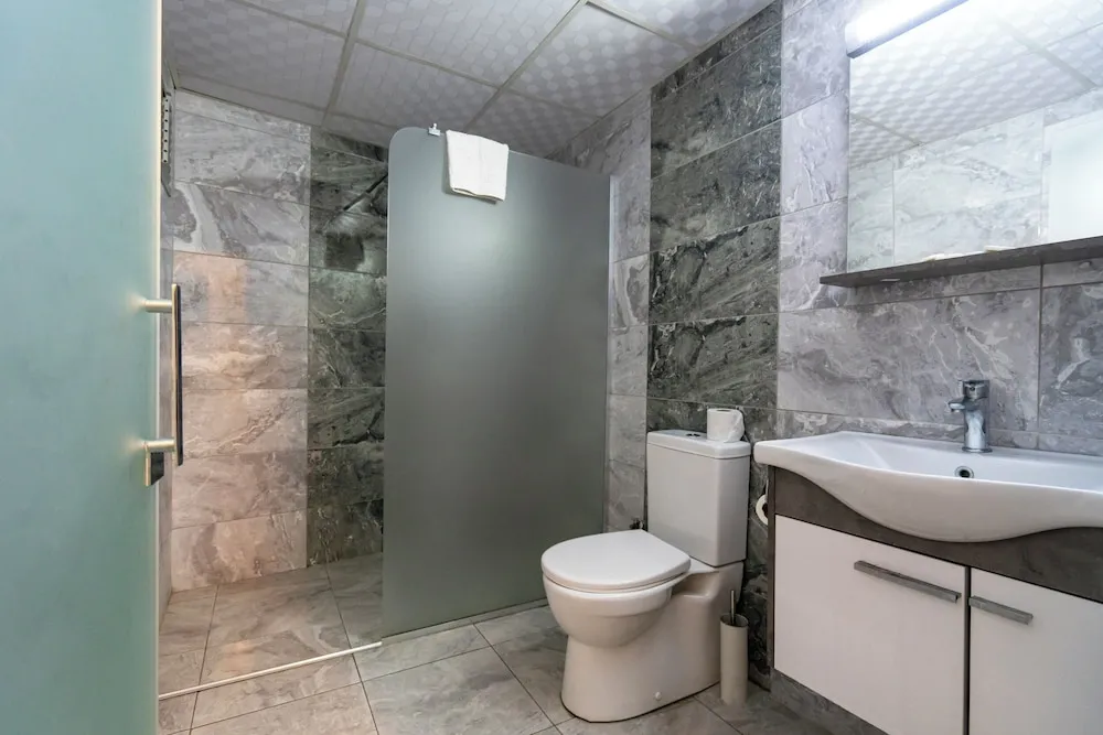 Deluxe Tek Büyük veya İki Ayrı Yataklı Oda, Şehir Manzaralı