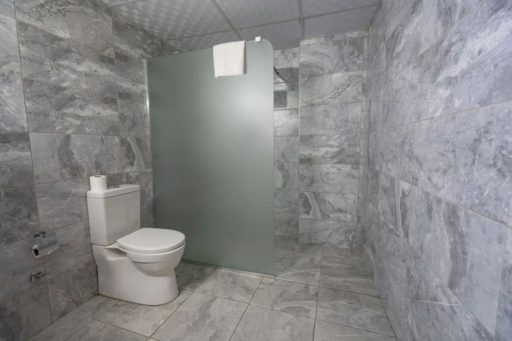 Deluxe Tek Büyük veya İki Ayrı Yataklı Oda, Şehir Manzaralı