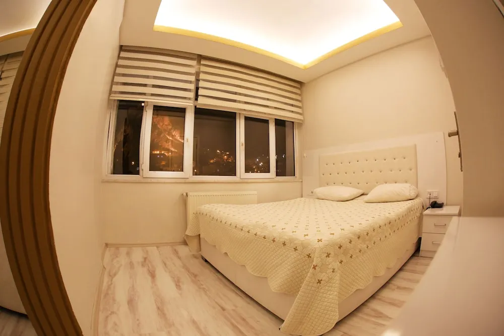Standard Tek Büyük Yataklı Oda, 1 Büyük (Queen) Boy Yatak, Şehir Manzaralı