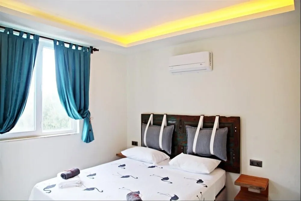 Deluxe Oda, 1 Çift Kişilik Yatak
