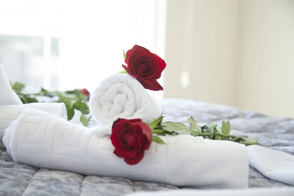 Standard Dubleks, Birden Çok Yatak, Sigara İçilebilir, Şehir Manzaralı