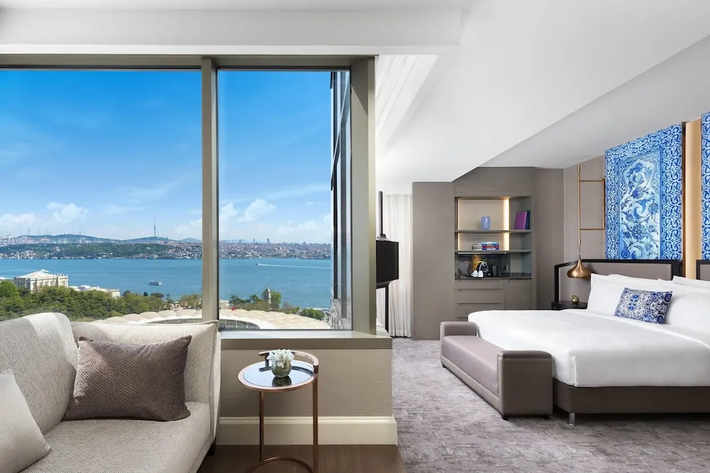 Premium Oda, 1 En Büyük (King) Boy Yatak, Sigara İçilebilir (View)