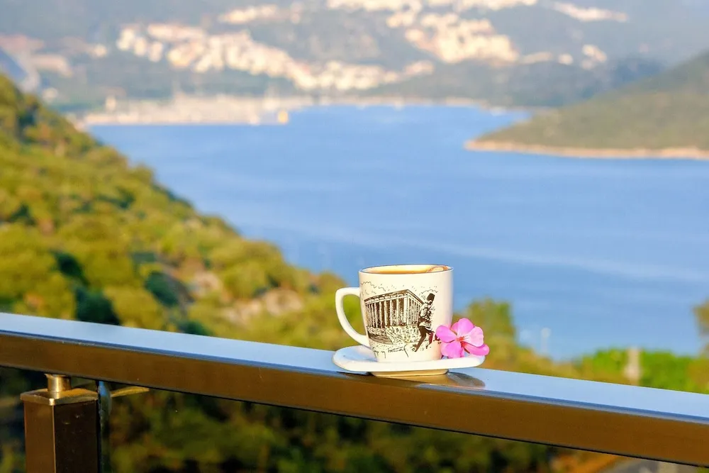 Standard İki Ayrı Yataklı Oda, Birden Çok Yatak, Havuz Kullanımı, Deniz Manzaralı