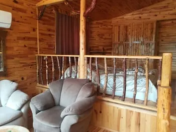 Olympos Tanrılar Kulübü